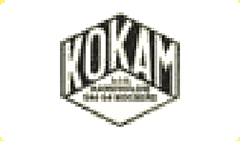 Kokam